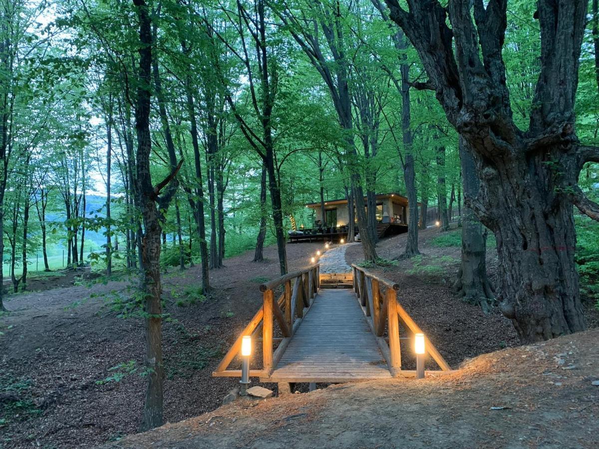 Luxury Lake House & Glamping Villa Teşila Exterior foto